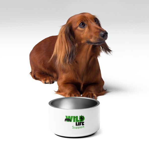 Pet bowl - Wildlife Support
