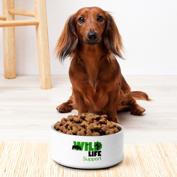 Pet bowl - Wildlife Support - Image 3
